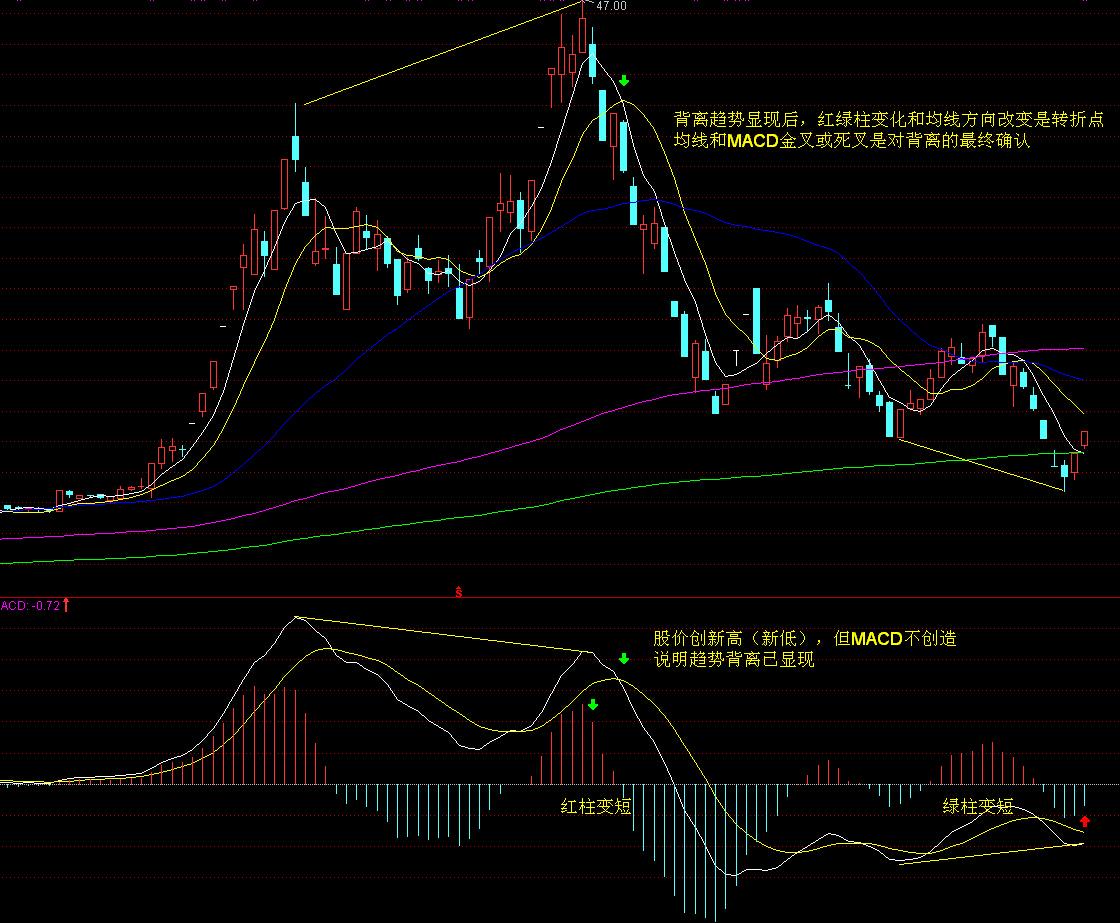 从质疑到狂欢！AI支出引爆科技股 七巨头年内投资近4000亿美元