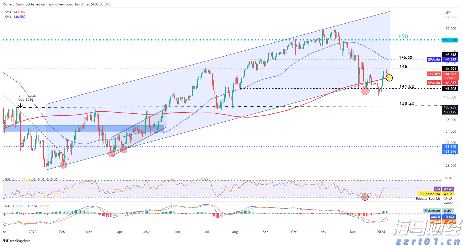 岭师健儿闪耀省大运会赛场