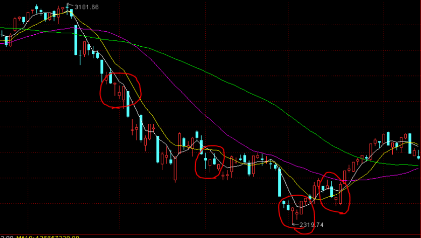 熊海峰教授走进广东塔牌集团股份有限公司开展2025院士专家入百企进百校（梅州行）活动