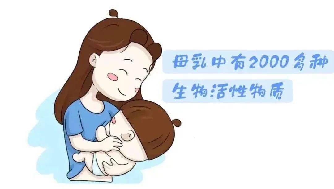 深耕创作沃土 讲好徐闻故事